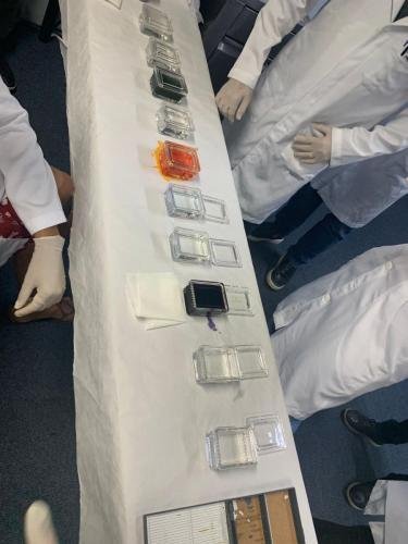 WhatsApp-Image-2022-12-14-at-12.44.07-1