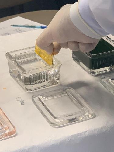 WhatsApp-Image-2022-12-14-at-12.44.09-2